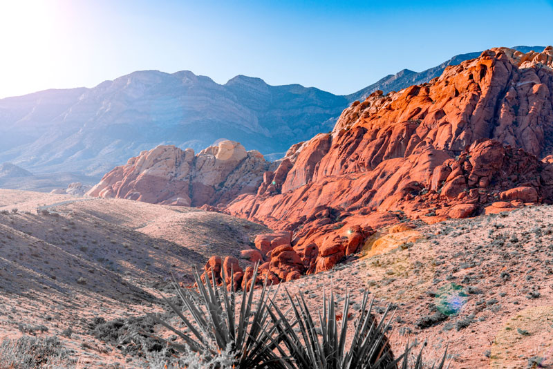 Sunny desert landscape with red rock mountains and clear blue sky, highlighting Nevada’s year-round outdoor scenery.